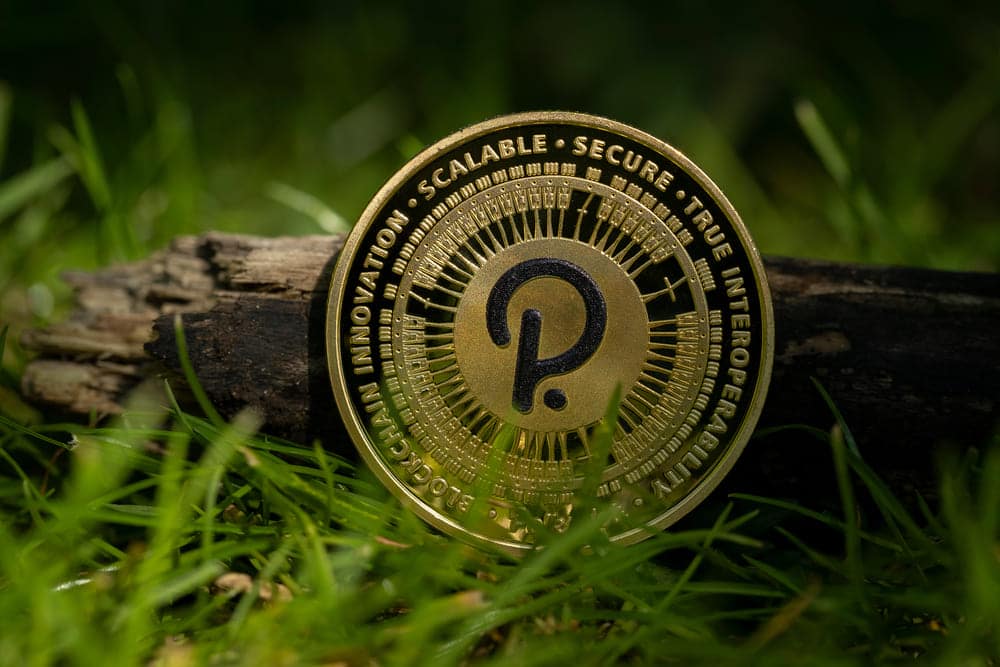 DOT Price Jumps 6 As Polkadot Announces OnChain Treasury Investments