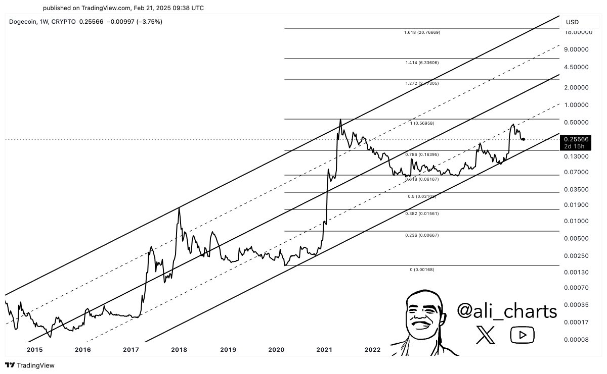 Dogecoin Price Could Hit $3 if Support Levels Holds Amid Whale Activity.