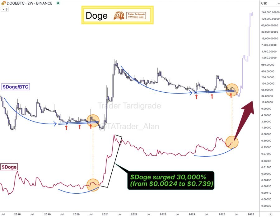 DOGEBTC