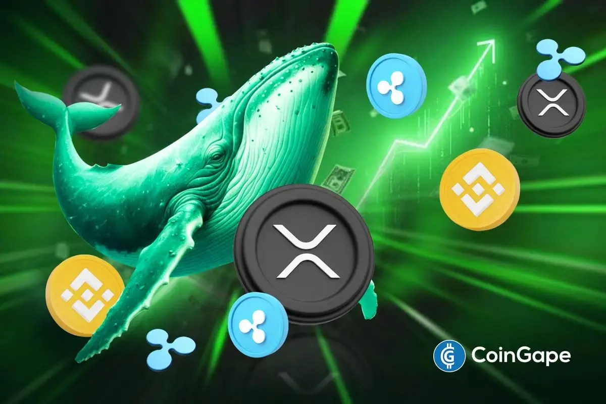 XRP Whale Inflows on Binance Hit 2-Year Low; Ripple Token Price Slips