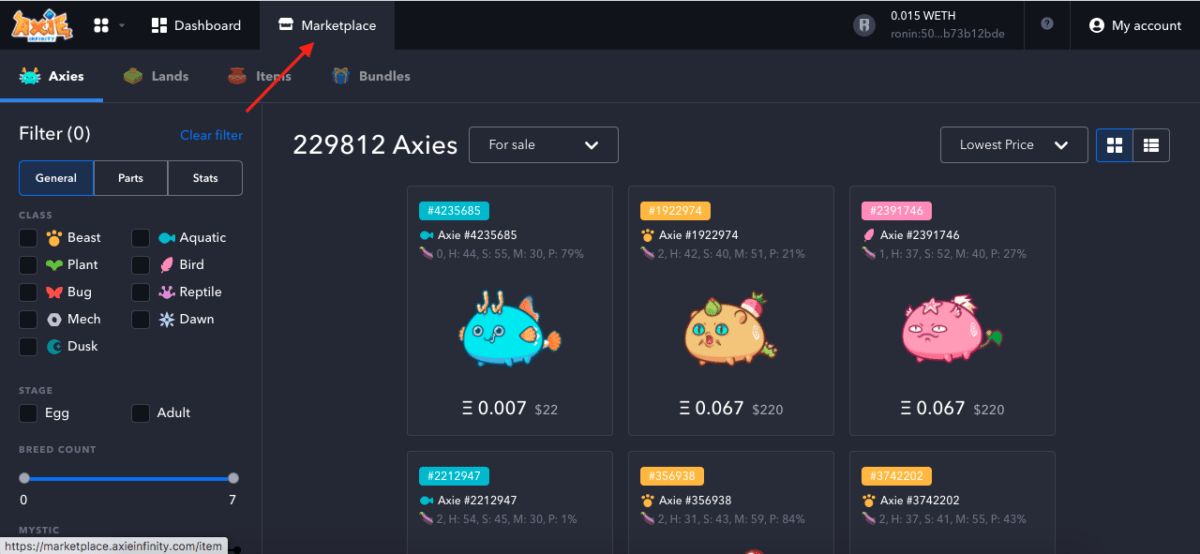 Instructions For Developing A Crew In Axie Infinity For Novices – Coinlive