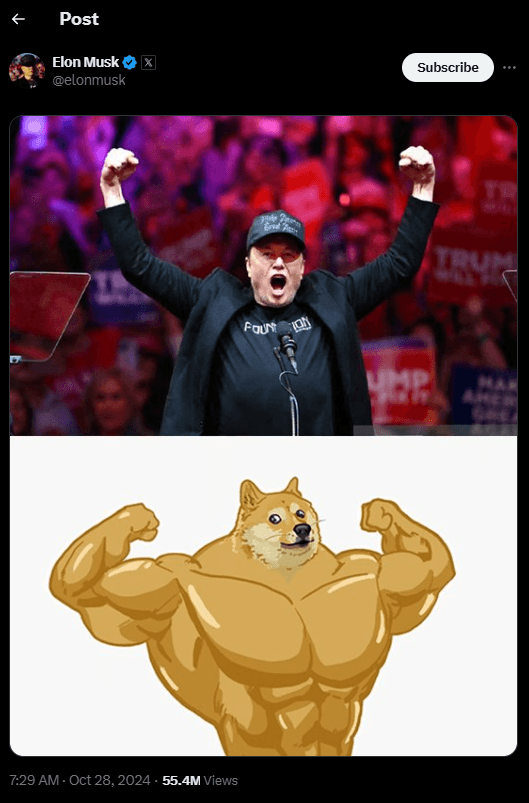 Elon Musk's Latest DOGE Tweet Ignites Crypto Excitement