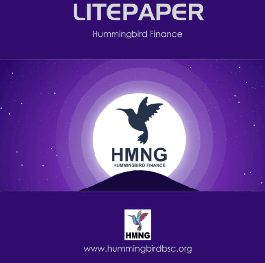HummingBird Finance (HMNG) Coin Nedir Nasıl Alınır