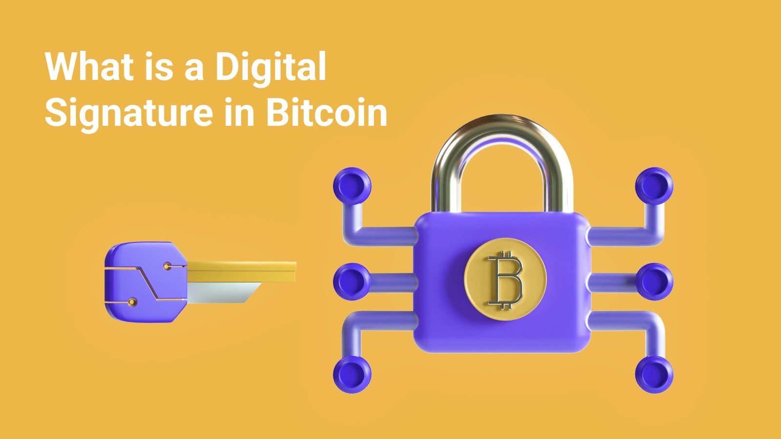 What Is a Digital Signature in Bitcoin Main Matters