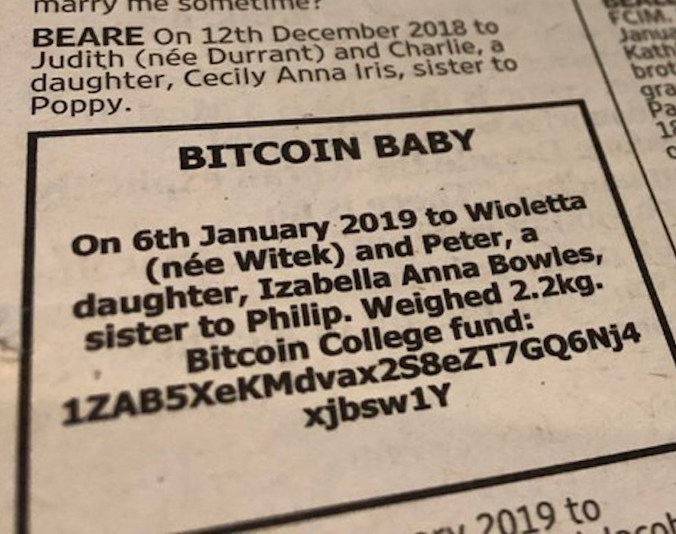 Bitcoin Baby completa um ano com valorização de 100 de seus ativos