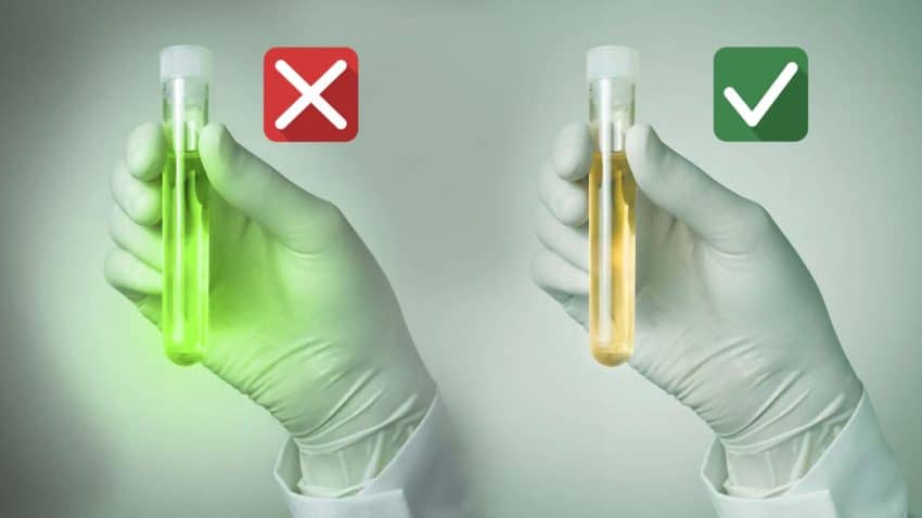 GC/MS Drug Test Guide Coke Clear