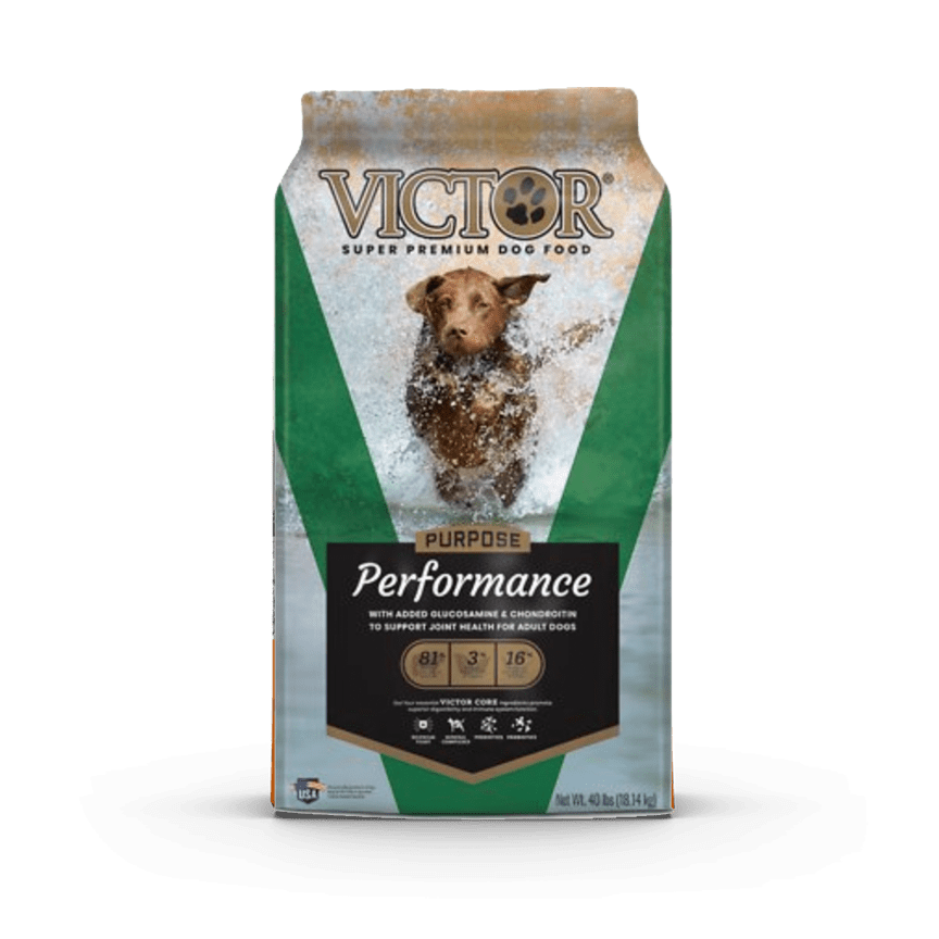 Can Puppies Eat Victor Dog Food