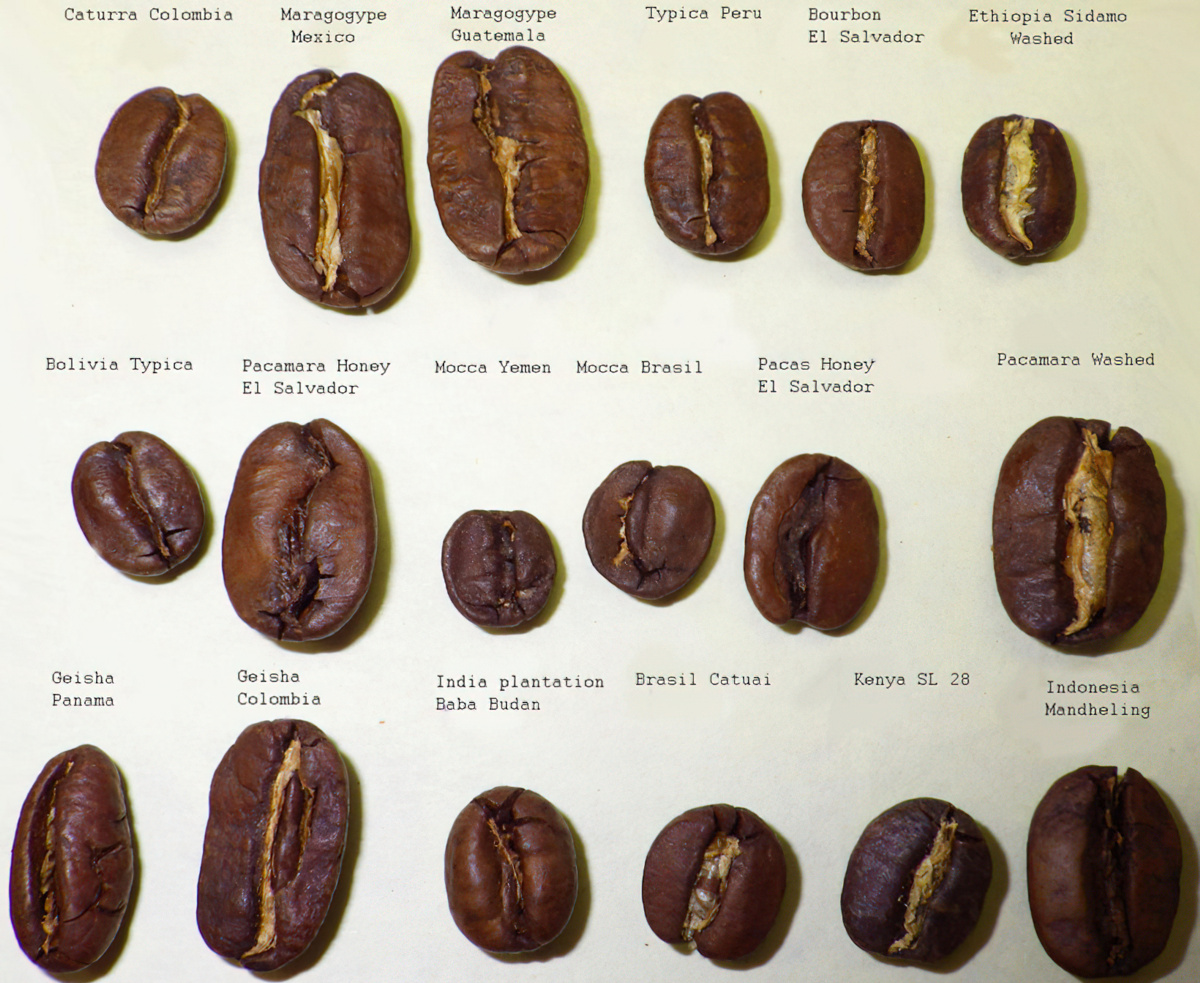 Guía para comprar café en grano