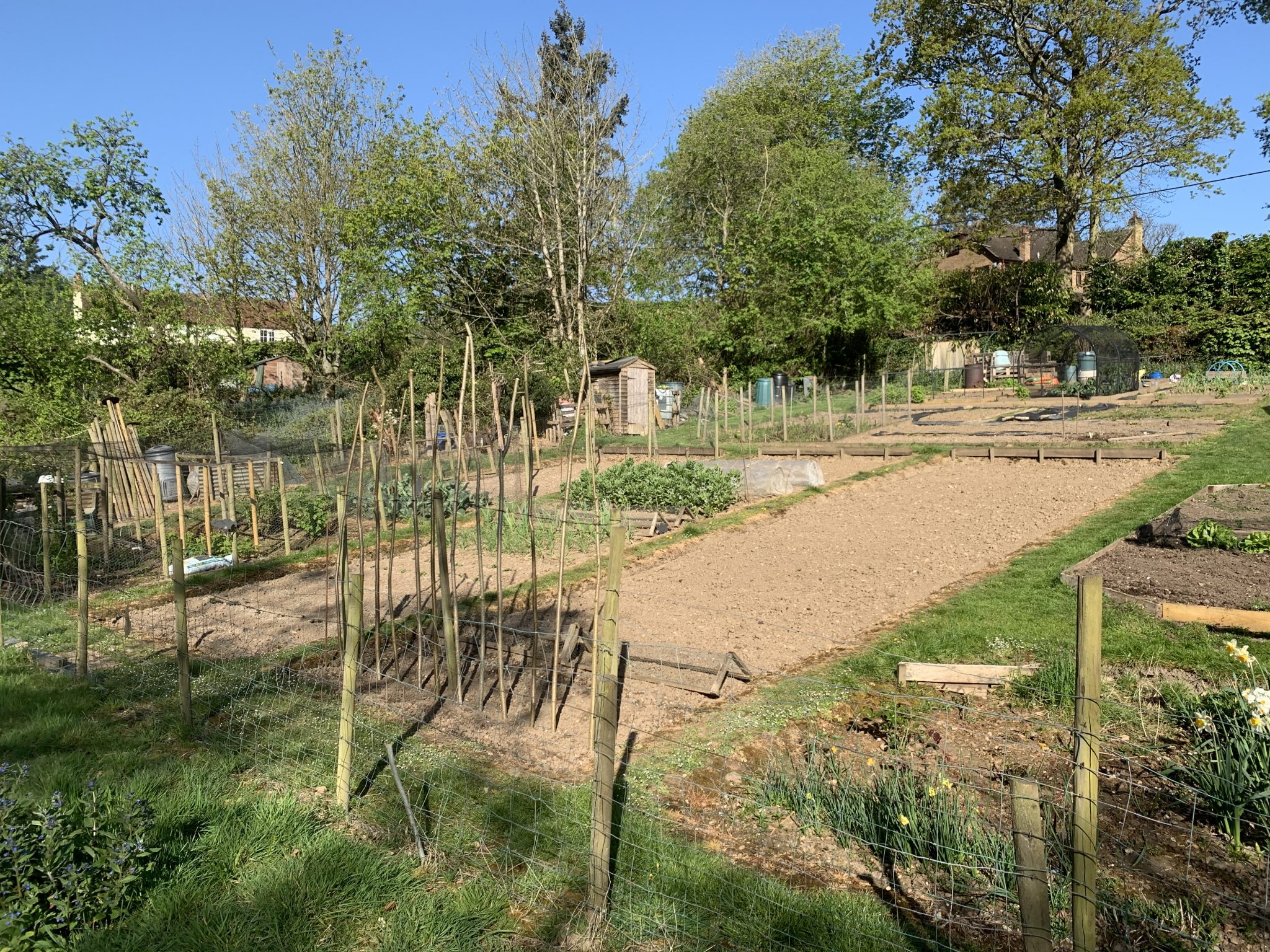 Allotments Cold Ash Parish Council
