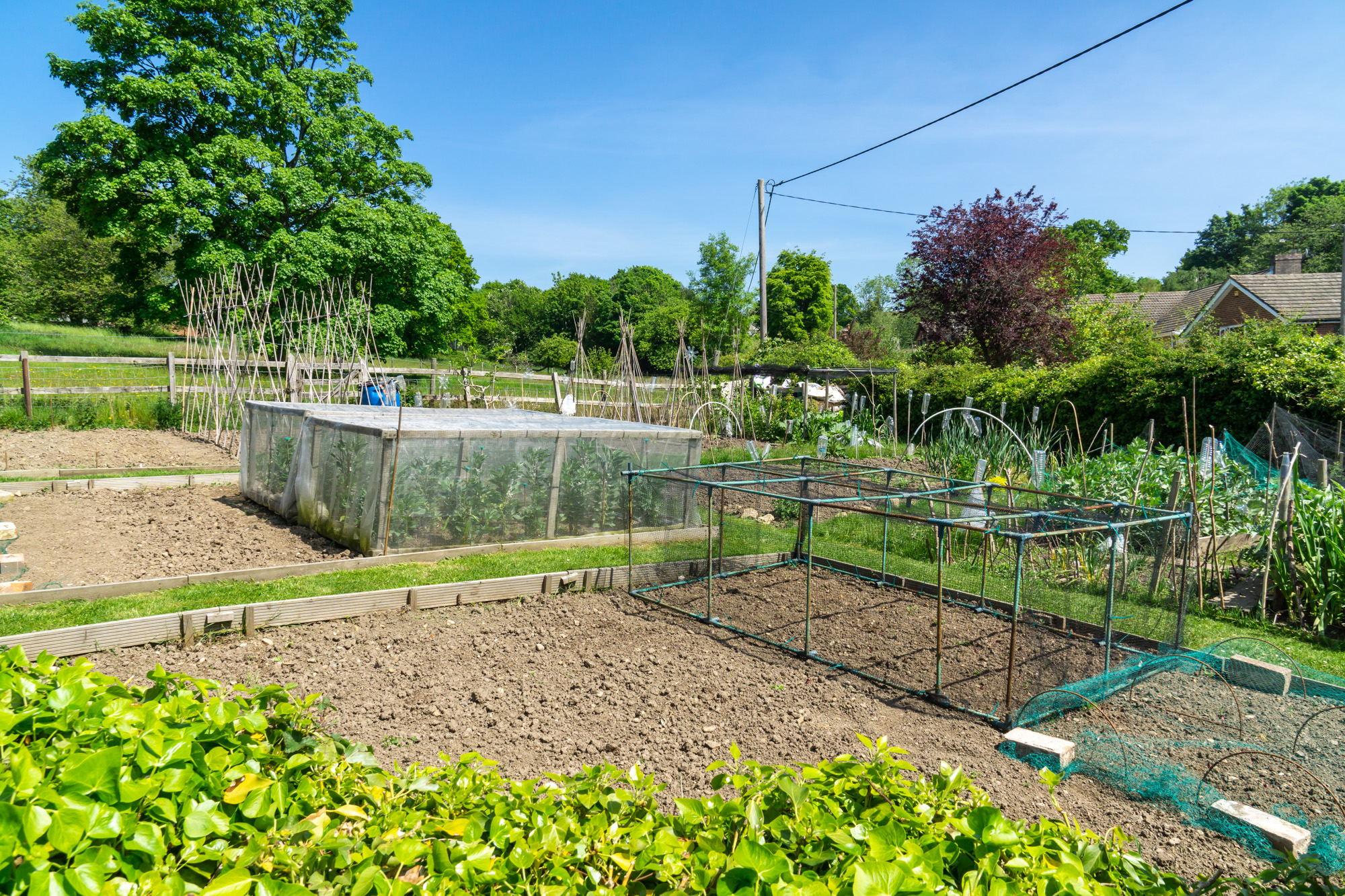Allotments Cold Ash Parish Council