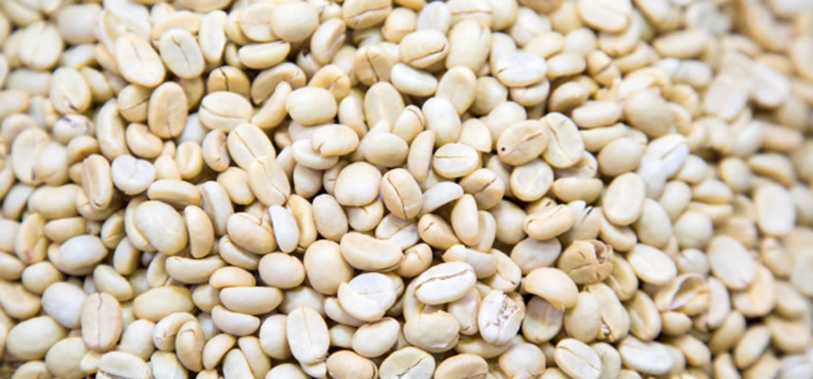 What Is White Coffee Beans Half Baked Cold Brew Hub