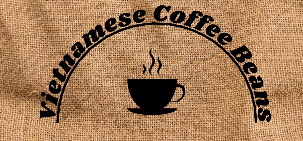 Vietnamese Coffee Beans Cold Brew Hub