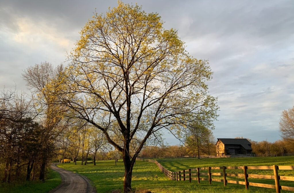 Cold Brook Farm A ZeroEnergy Homestead Oldwick, NJ