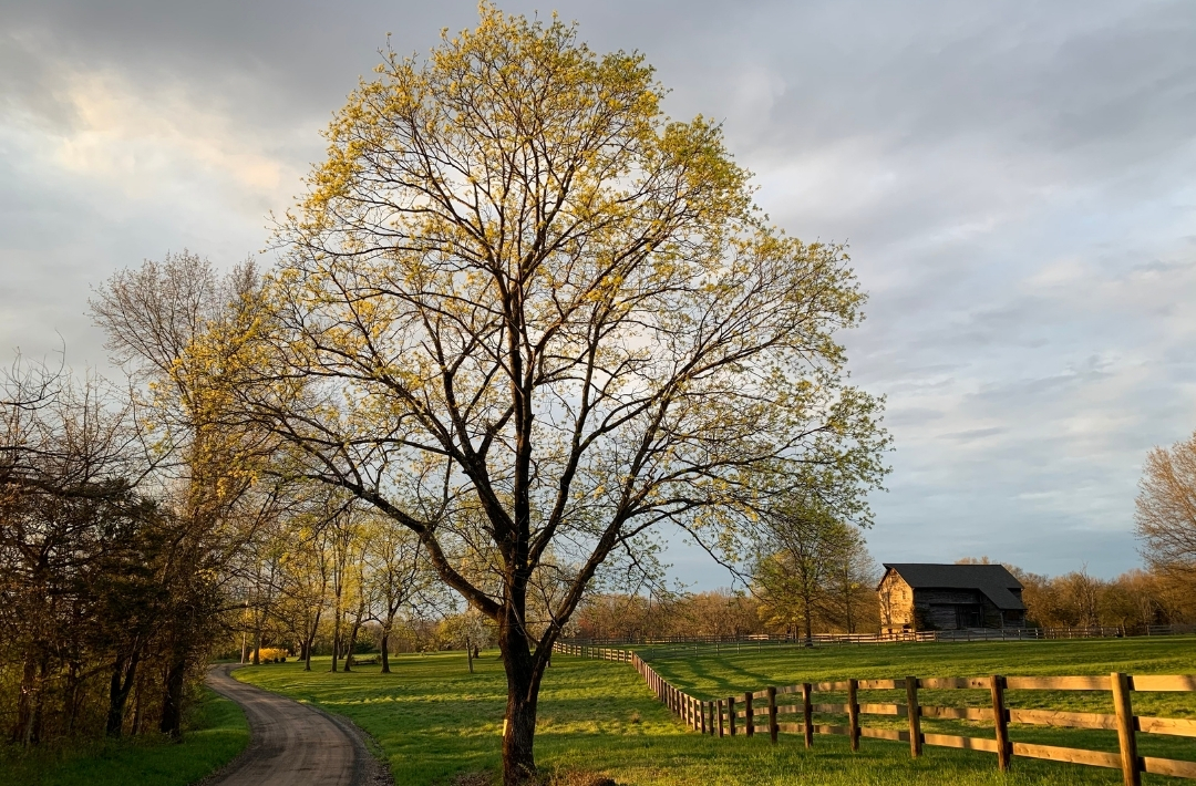 Cold Brook Farm A ZeroEnergy Homestead Oldwick, NJ