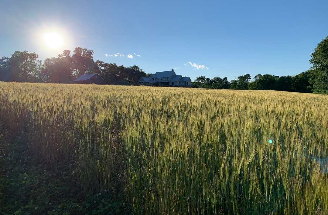 Cold Brook Farm A ZeroEnergy Homestead Oldwick, NJ
