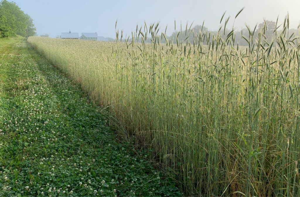 Cold Brook Farm A ZeroEnergy Homestead Oldwick, NJ