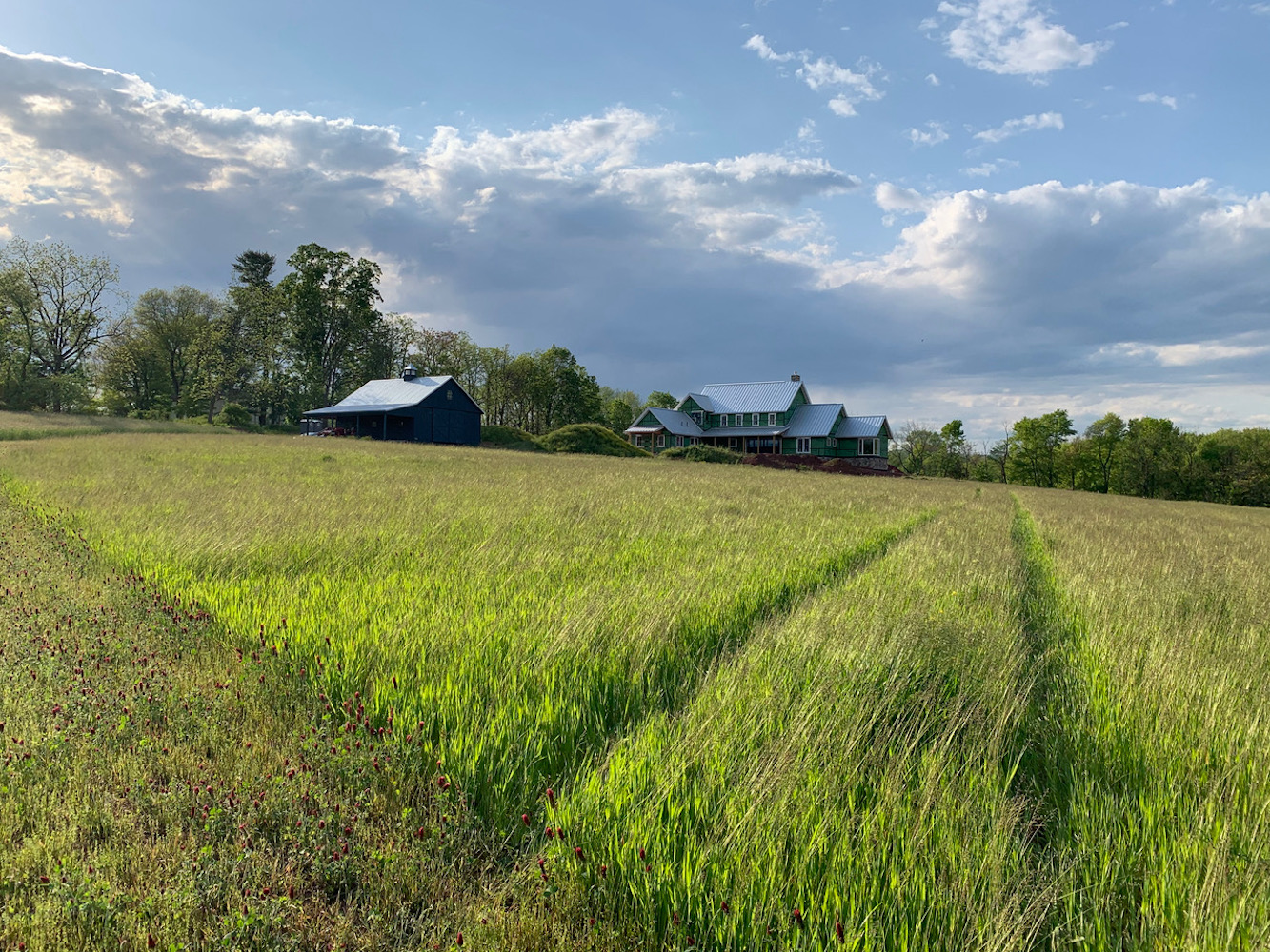 About Cold Brook Farm A Homestead in Oldwick, New Jersey