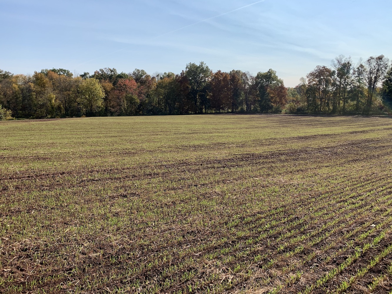 About Cold Brook Farm A Homestead in Oldwick, New Jersey