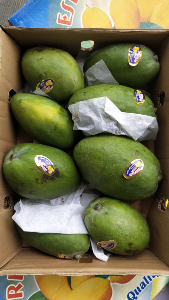 Mango Diplomacy UK Prince Charles Lauds Pakistani Mangoes