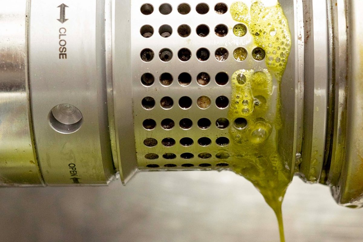 Cold Press Oil Machines New Technology Cold Press Oil Machines