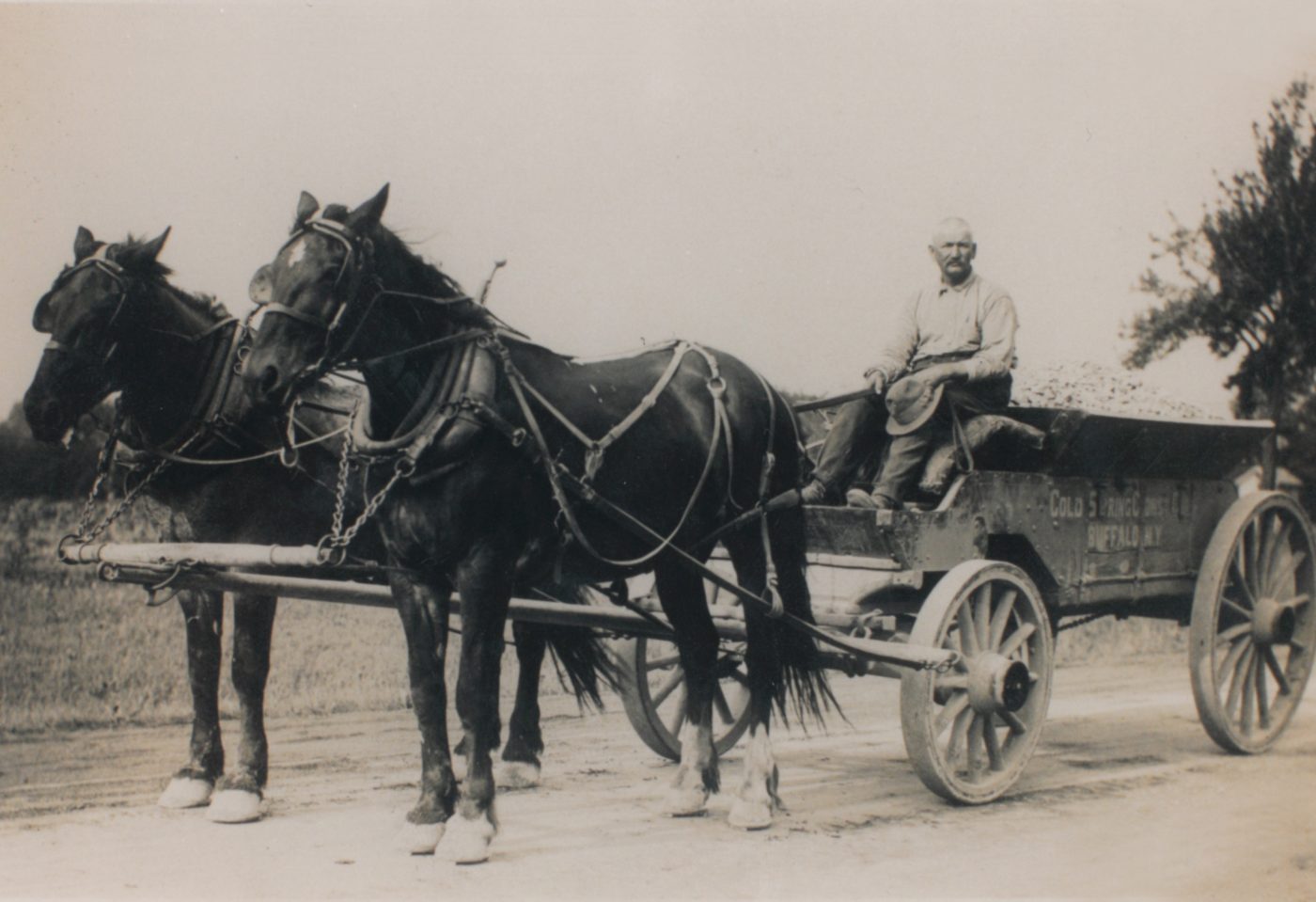 I390/490 Interchange Reconstruction, Rochester Cold Spring Construction