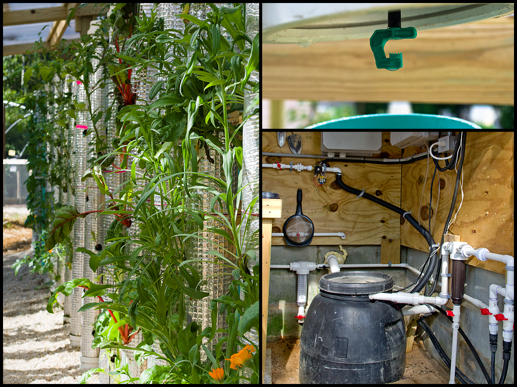 Home Coldwater GardensColdwater Gardens Coldwater agritourism gardens