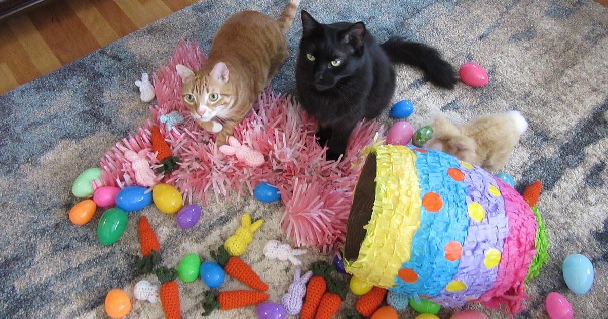 Easter Cats