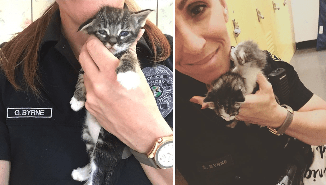Florida "Cat Cop" Rescues Felines During Her Shift; A True Officer Of