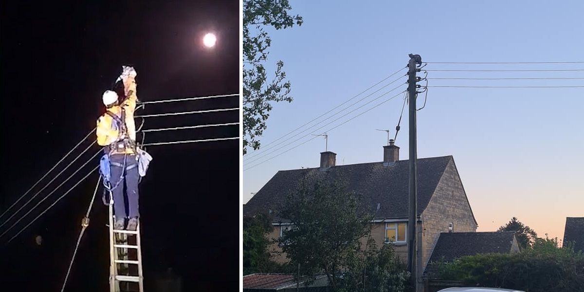 Home Cole & Marmalade