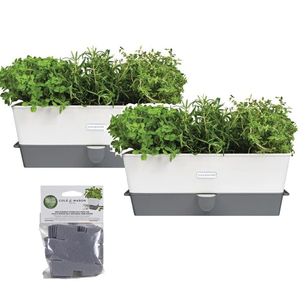 Cole & Mason Fresh Herb Keepers Herb Storage Cole & Mason UK