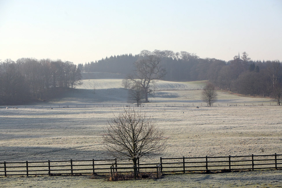 Gallery Colebrooke Park