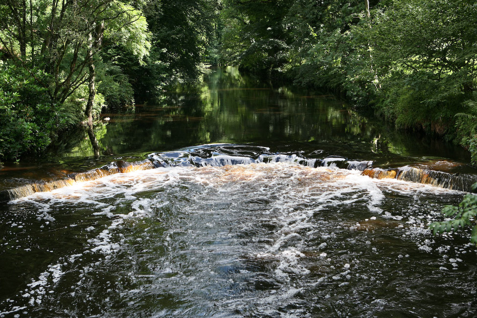 Gallery Colebrooke Park
