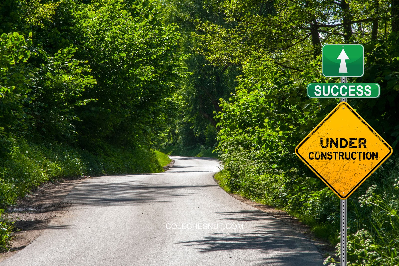 The Road to Success is Always Under Construction Cole Chesnut