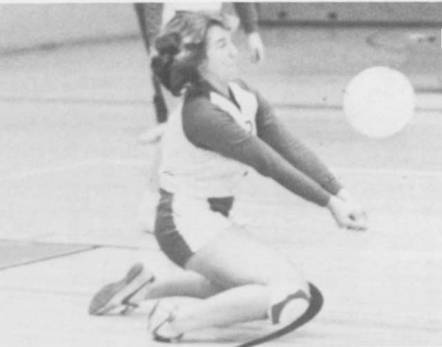 Athletic Team Photos Colerain High School Alumni Association