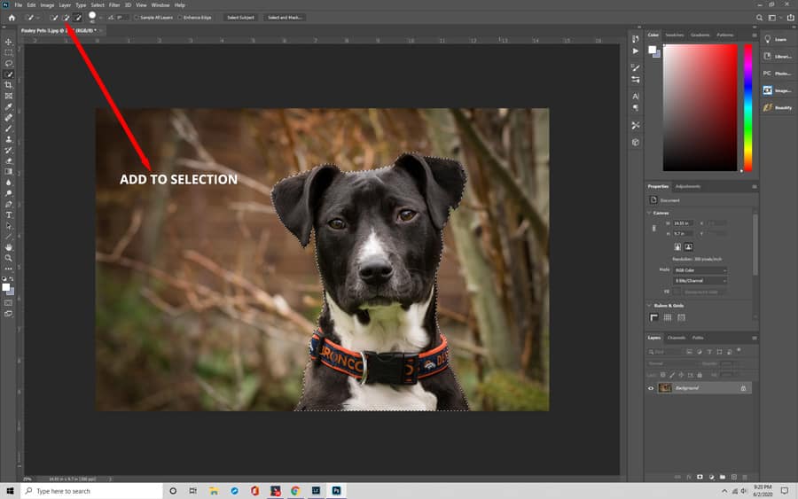 Learn How to Use Quick Selection Tool in