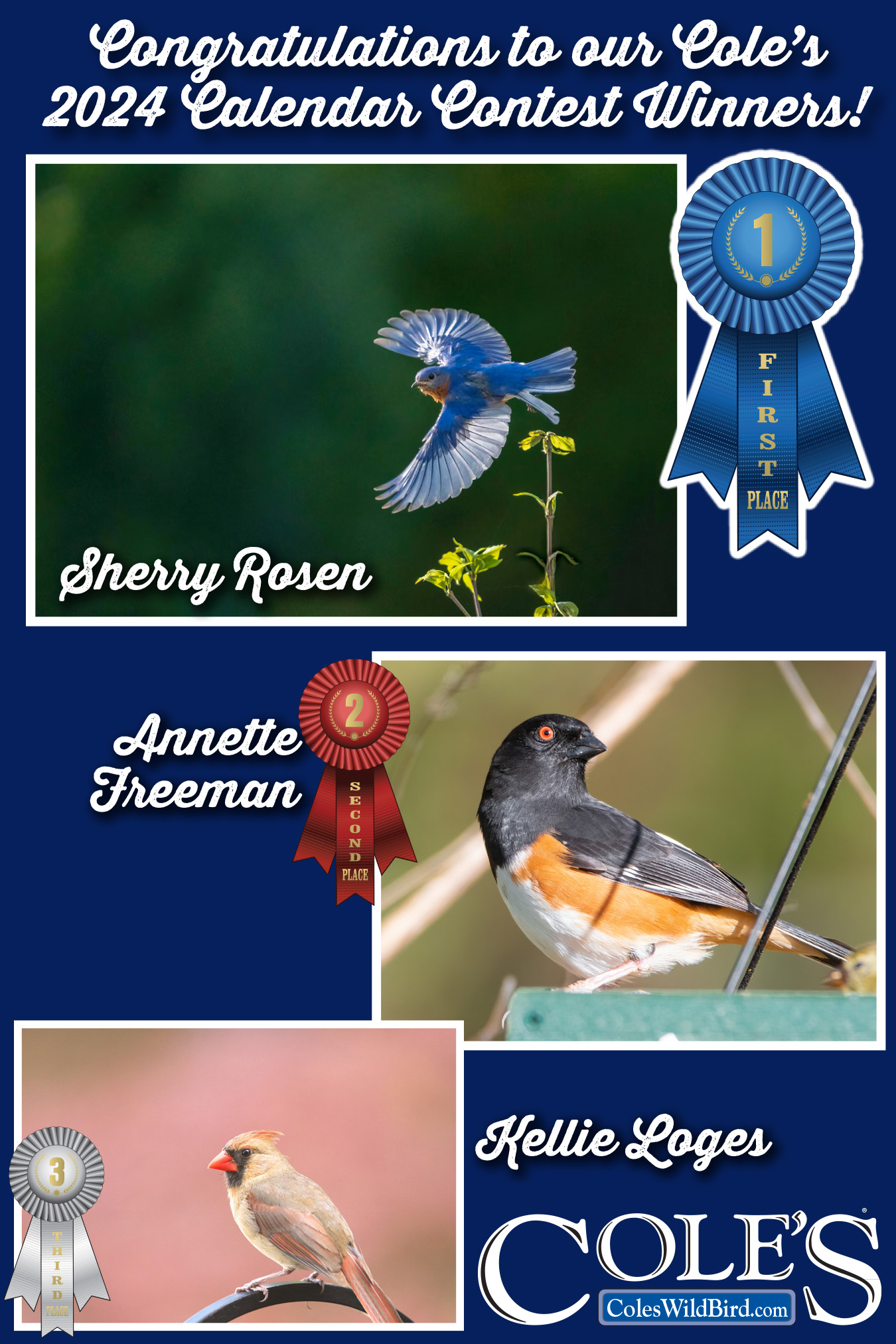 Aarp 2024 Calendar Photo Contest Winners List Gail Merrill