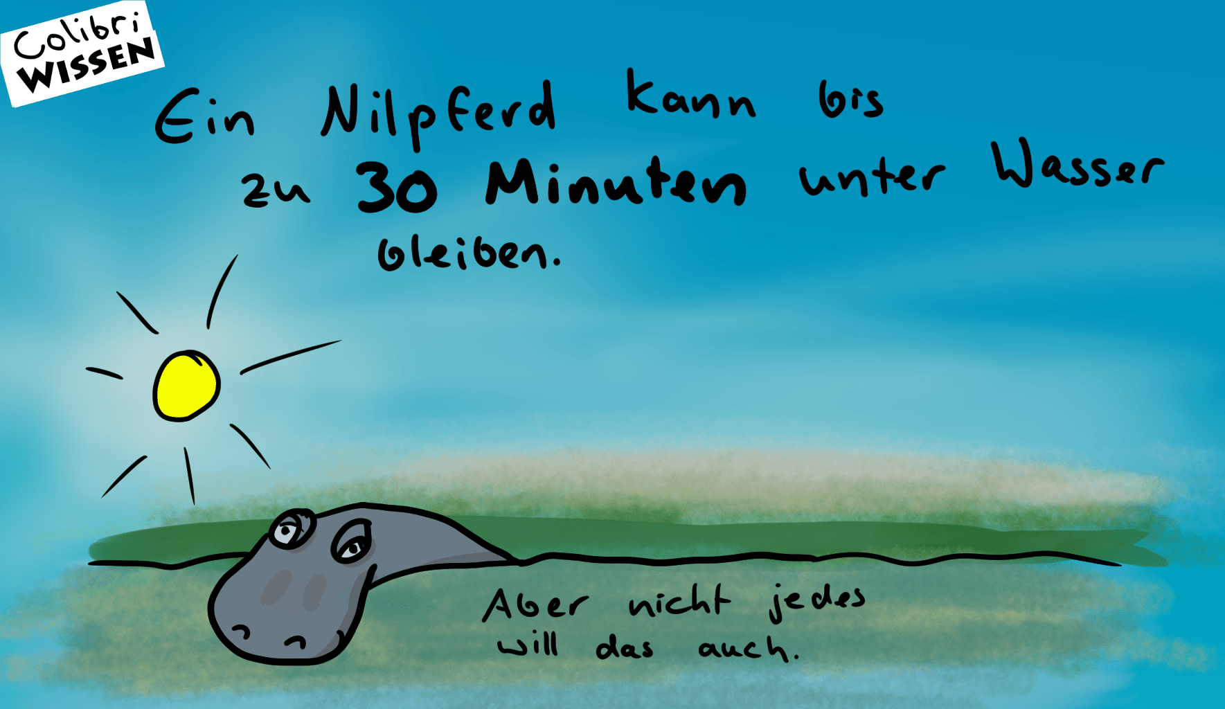 nilpferd Colibri Comics