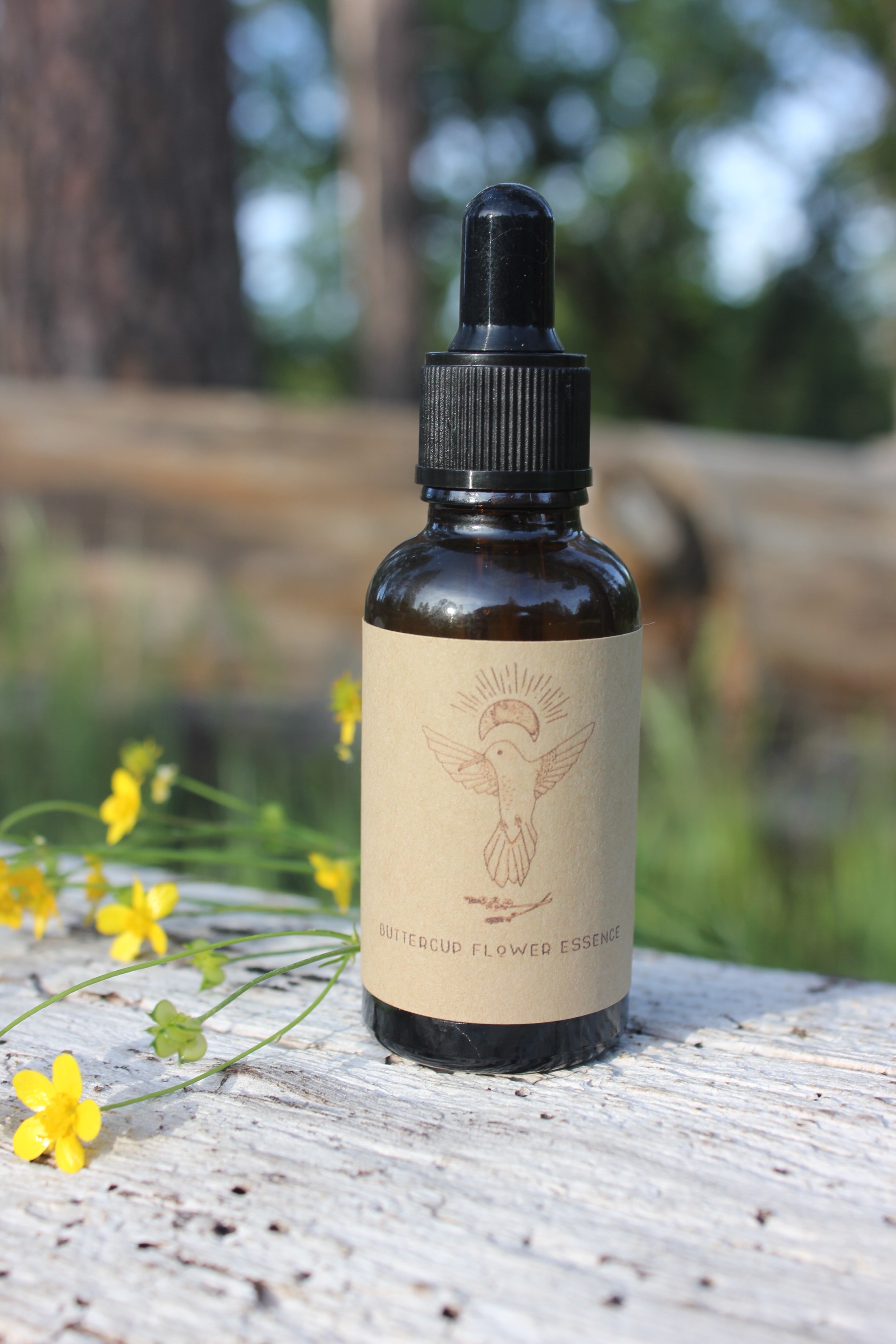Buttercup Flower Essence Origin Story Colibri Medicine