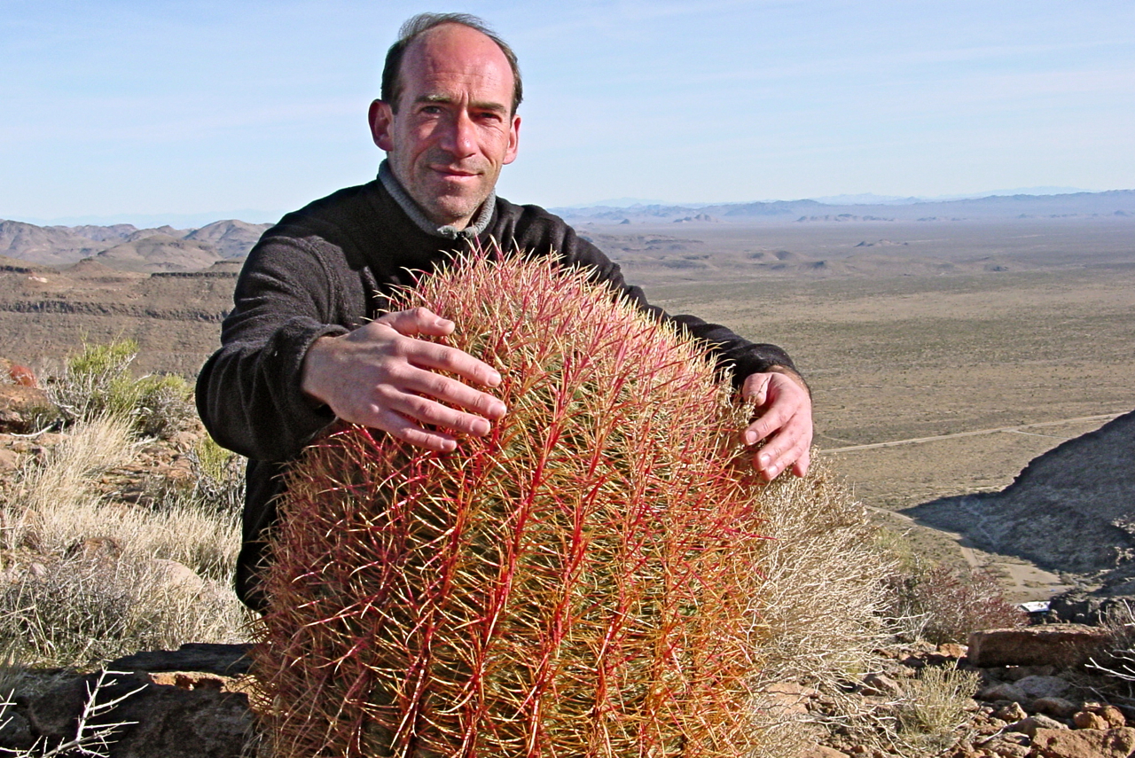 Desert Cacti CALIFORNIA HIKING