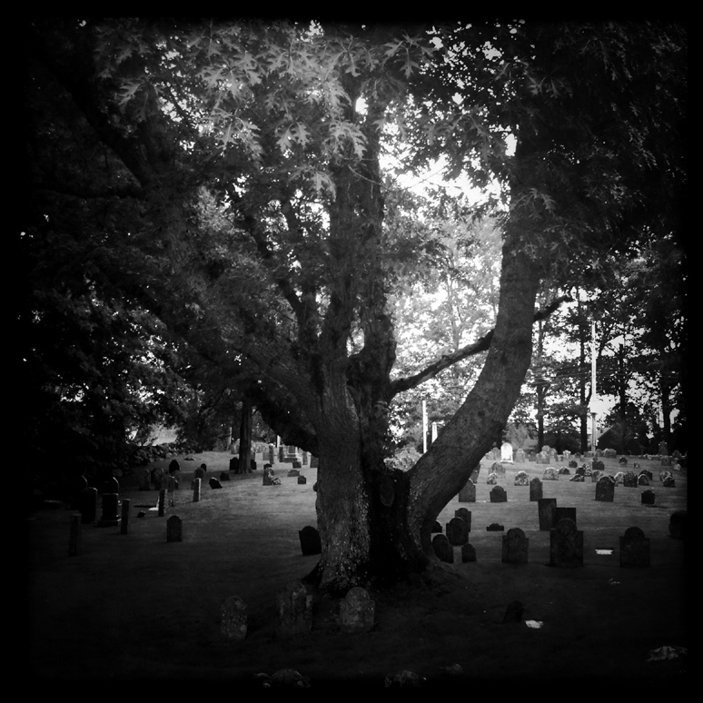 lothrop cemetery enter the abyss