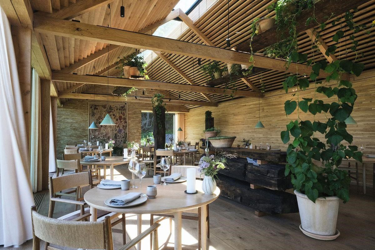 World's Best Restaurant Noma What Is All the Buzz About?