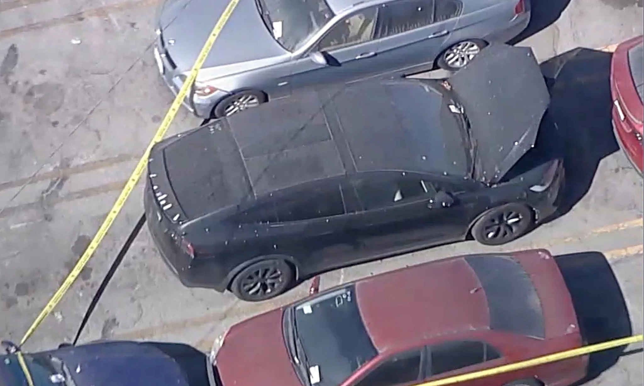 D4vds Tesla Case Dead Girl Identified As Celeste Rivas