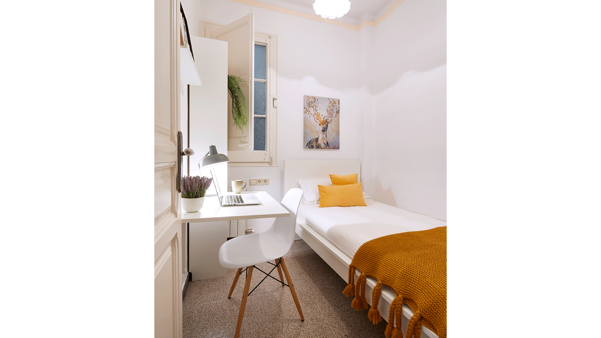 Single Room for rent in Barcelona