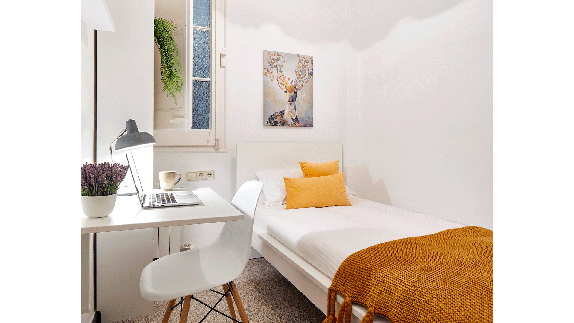 Single Room for rent in Barcelona