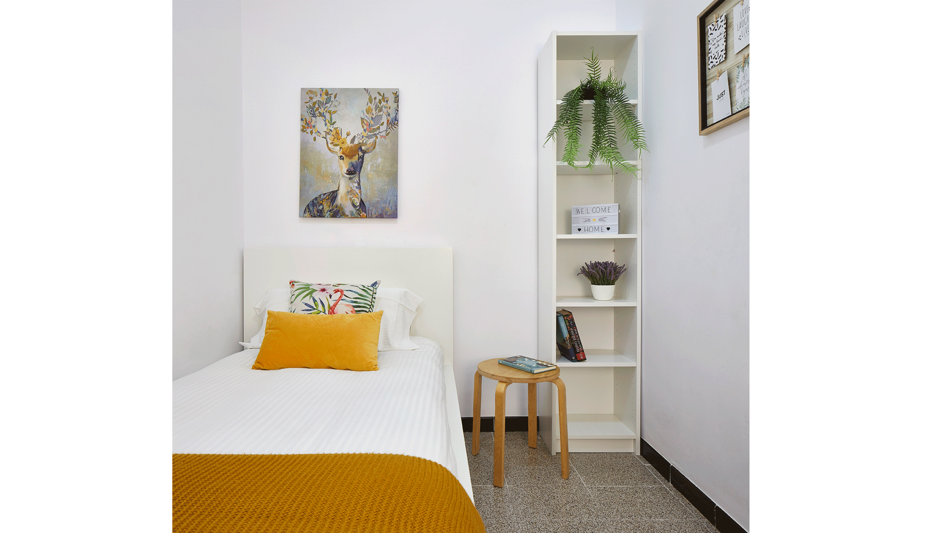 Single Room for rent in Barcelona