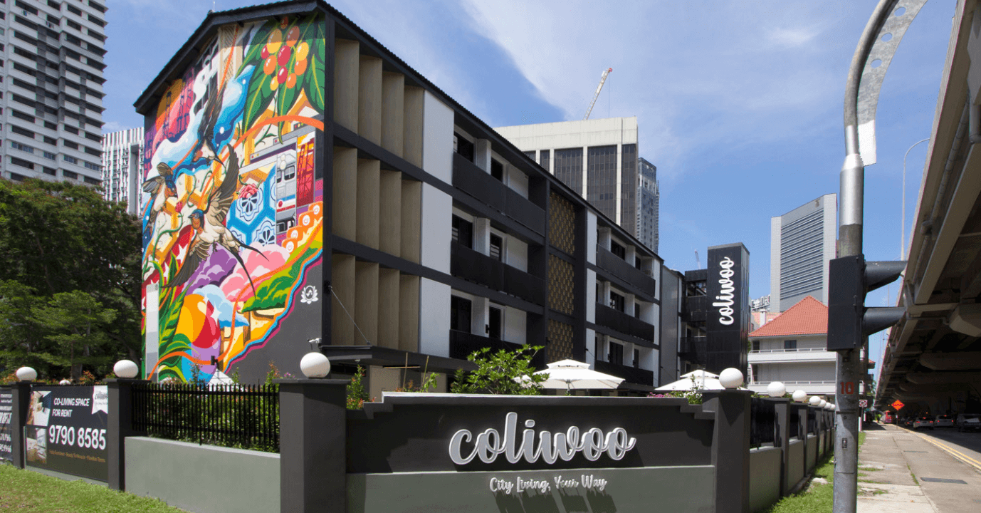 Why Coliwoo is the Best for You Coliwoo