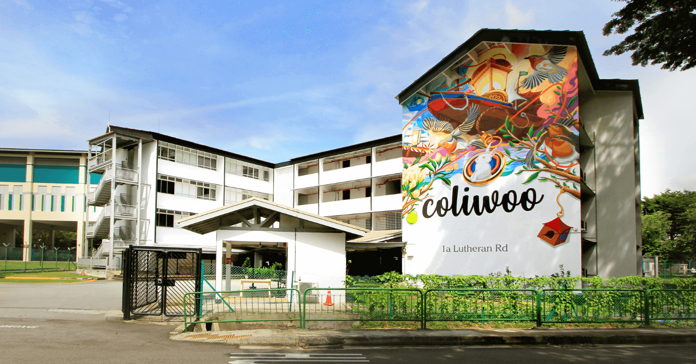 Why Coliwoo is the Best for You Coliwoo