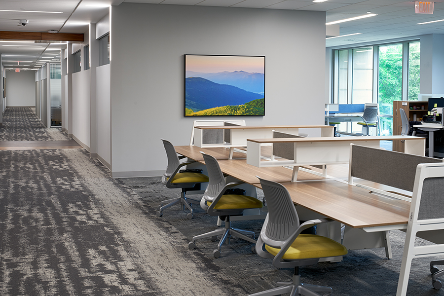 Physician Services Group at Health Park Collaborative Studio