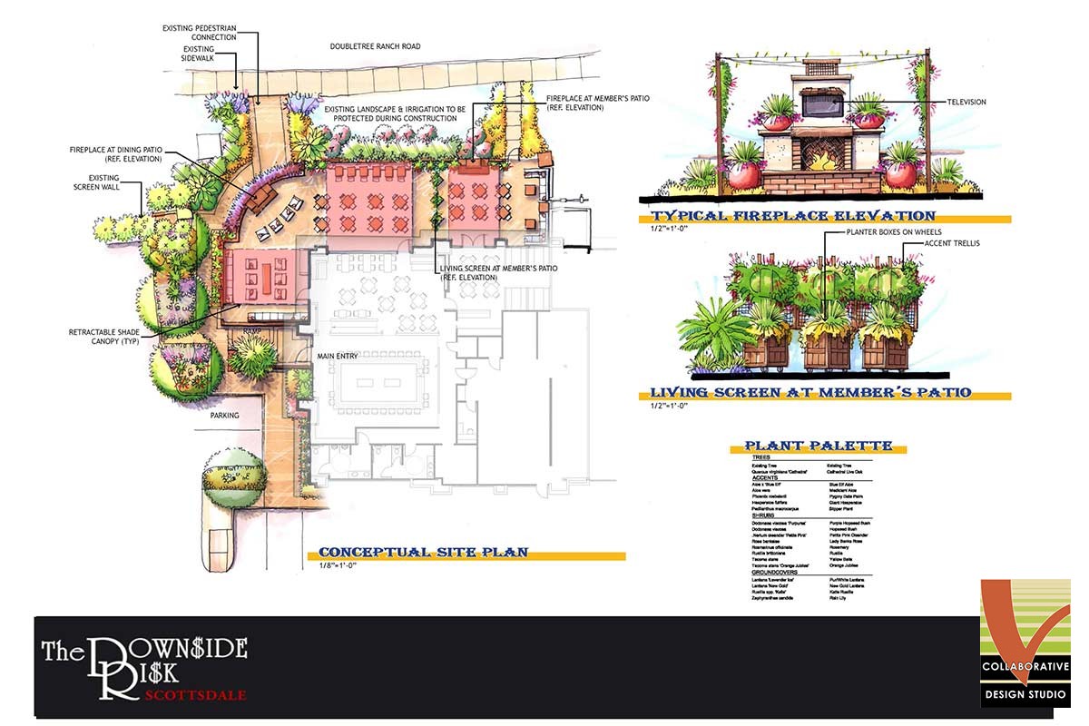 The Downside Risk Collaborative V Design Studio