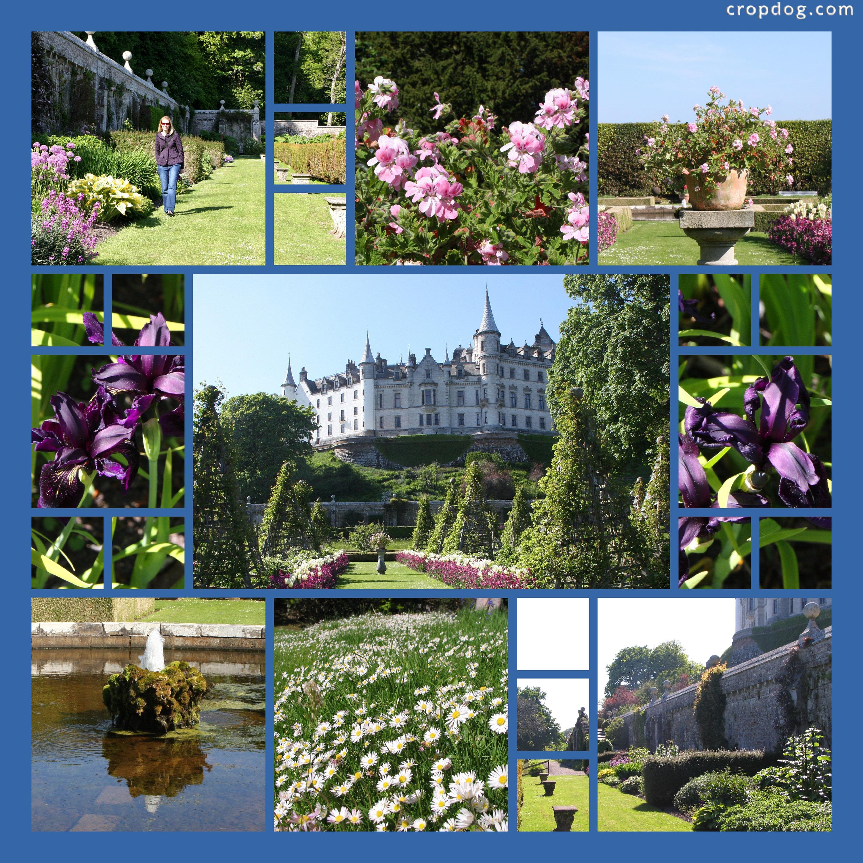 Garden Photo Ideas Cropdog Photo Collage